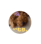 うちの子うにくん(動くver)（個別スタンプ：6）