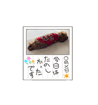 うちの子うにくん(動くver)（個別スタンプ：8）