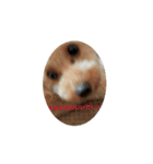 モナりさリアルバージョン（個別スタンプ：2）