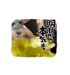 モナりさリアルバージョン（個別スタンプ：3）
