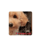 モナりさリアルバージョン（個別スタンプ：4）