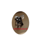 モナりさリアルバージョン（個別スタンプ：6）