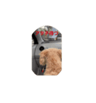 モナりさリアルバージョン（個別スタンプ：8）