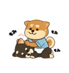 豆柴ちゃん④（個別スタンプ：10）