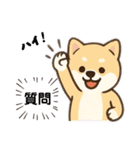豆柴ちゃん④（個別スタンプ：13）
