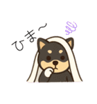 豆柴ちゃん④（個別スタンプ：20）
