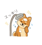 豆柴ちゃん④（個別スタンプ：21）