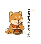 豆柴ちゃん④（個別スタンプ：22）