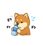 豆柴ちゃん④（個別スタンプ：39）