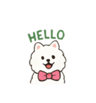 猫Life language（個別スタンプ：16）