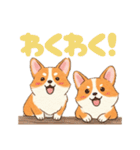 仲良しなコーギーたち（個別スタンプ：5）