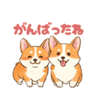 仲良しなコーギーたち（個別スタンプ：12）