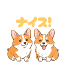 仲良しなコーギーたち（個別スタンプ：16）
