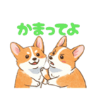 仲良しなコーギーたち（個別スタンプ：18）