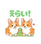 仲良しなコーギーたち（個別スタンプ：19）