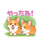 仲良しなコーギーたち（個別スタンプ：20）
