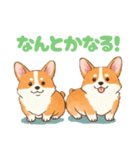 仲良しなコーギーたち（個別スタンプ：21）