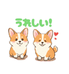 仲良しなコーギーたち（個別スタンプ：23）