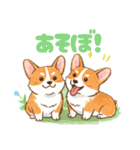 仲良しなコーギーたち（個別スタンプ：25）