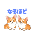 仲良しなコーギーたち（個別スタンプ：27）