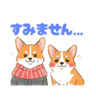 仲良しなコーギーたち（個別スタンプ：32）