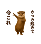 踊る！今これカワウソ（個別スタンプ：1）