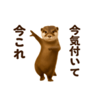 踊る！今これカワウソ（個別スタンプ：3）