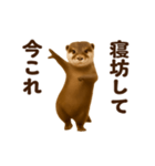 踊る！今これカワウソ（個別スタンプ：7）