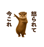 踊る！今これカワウソ（個別スタンプ：8）