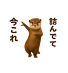 踊る！今これカワウソ（個別スタンプ：10）