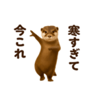踊る！今これカワウソ（個別スタンプ：12）
