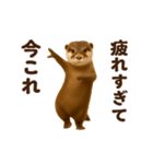 踊る！今これカワウソ（個別スタンプ：20）