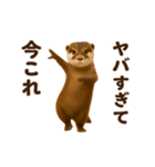 踊る！今これカワウソ（個別スタンプ：21）