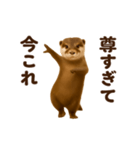踊る！今これカワウソ（個別スタンプ：23）