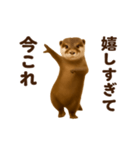 踊る！今これカワウソ（個別スタンプ：24）