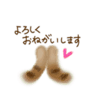 意外とつかえる！ネガティブ言葉入りセット（個別スタンプ：16）