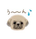 意外とつかえる！ネガティブ言葉入りセット（個別スタンプ：25）