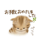 意外とつかえる！ネガティブ言葉入りセット（個別スタンプ：31）