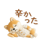 ネガティブな癒ししばいぬ（個別スタンプ：5）