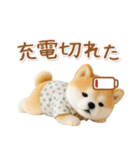 ネガティブな癒ししばいぬ（個別スタンプ：8）