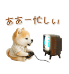ネガティブな癒ししばいぬ（個別スタンプ：9）
