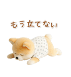 ネガティブな癒ししばいぬ（個別スタンプ：23）