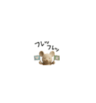 mottoの極小スタンプ♡サクッと♪（個別スタンプ：19）