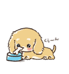 【犬の日】愛犬♡ダックスフンド★ご挨拶（個別スタンプ：19）