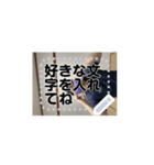 よろしくやでー（個別スタンプ：2）