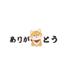 ちいさな柴犬＊毎日つかえる」（個別スタンプ：1）