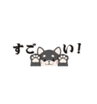 ちいさな柴犬＊毎日つかえる」（個別スタンプ：14）