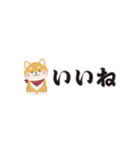 ちいさな柴犬＊毎日つかえる」（個別スタンプ：19）