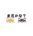 ちいさな柴犬＊毎日つかえる」（個別スタンプ：20）