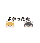 ちいさな柴犬＊毎日つかえる」（個別スタンプ：21）